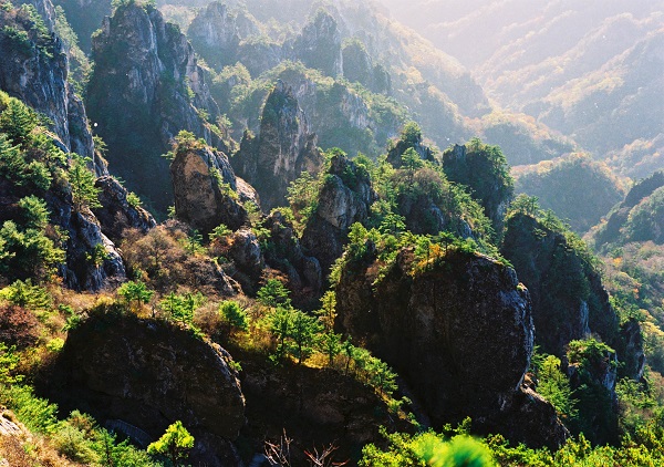 老君山花岗岩“石林”（Laojunshan Granite Stone Forest）.jpg